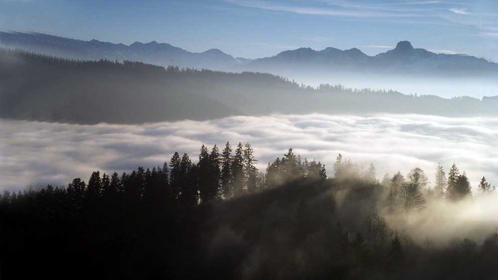 Natur Nebel 1000