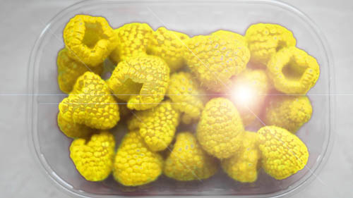 Goldene Himbeeren 500